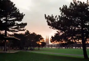 A view of the Cologne Cathedral from Rheinpark, the two towers of the building rising from beyond cut fields of grass and pine trees.