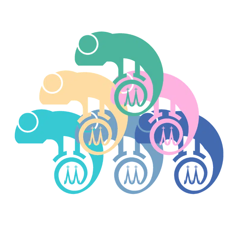 Group of chameleons for private and group tours